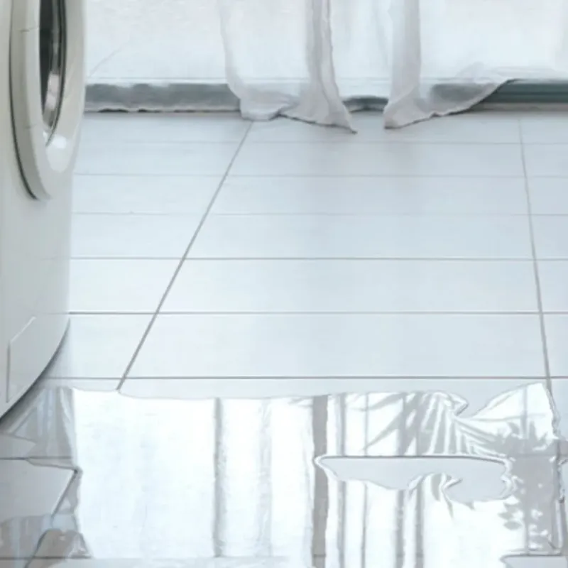 Appliance Leak Cleanup in Gray County, TX