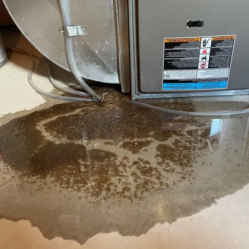 Pipe Burst and Leak Restoration in Gray County, TX
