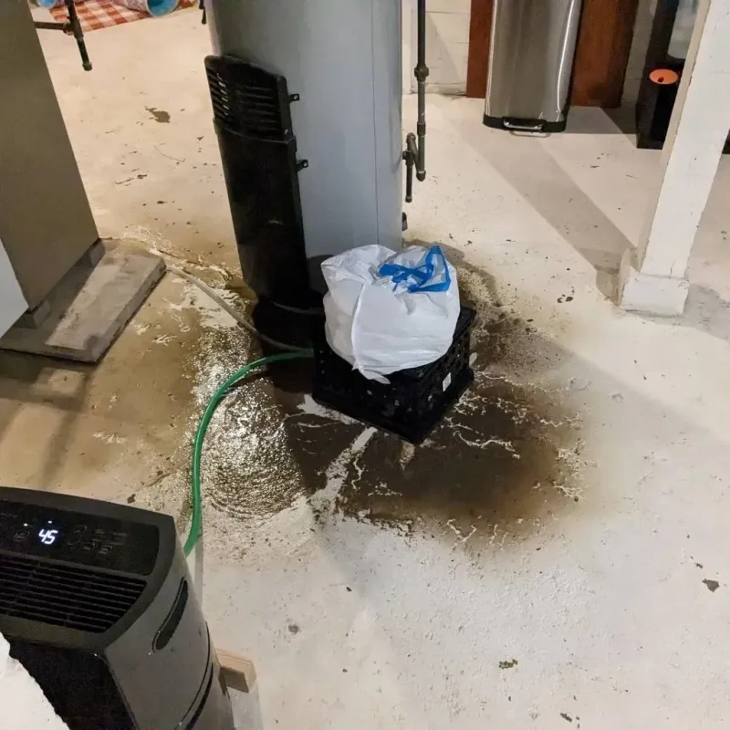 Sewage Backup Cleanup Service in Gray County, TX